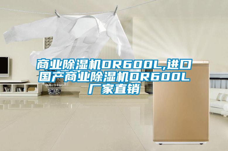 商業(yè)除濕機DR600L,進口國產商業(yè)除濕機DR600L廠家直銷