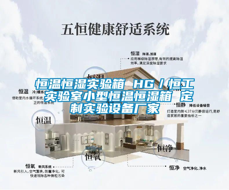 恒溫恒濕實(shí)驗(yàn)箱 HG／恒工 實(shí)驗(yàn)室小型恒溫恒濕箱 定制實(shí)驗(yàn)設(shè)備廠家