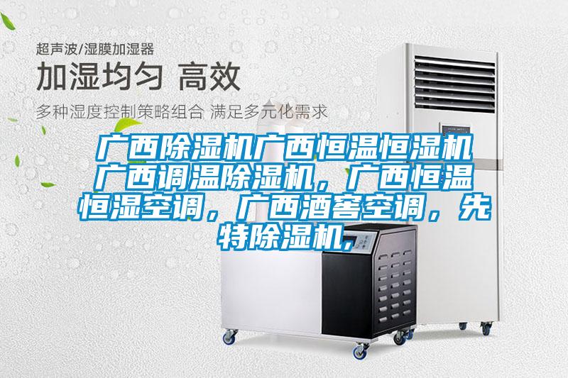 廣西除濕機廣西恒溫恒濕機廣西調溫除濕機，廣西恒溫恒濕空調，廣西酒窖空調，先特除濕機,