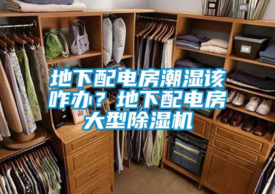 地下配電房潮濕該咋辦？地下配電房大型除濕機
