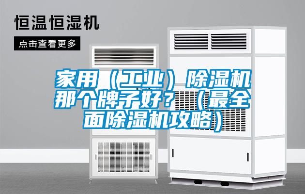 家用（工業）除濕機那個牌子好？（最全面除濕機攻略）
