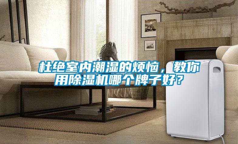 杜絕室內(nèi)潮濕的煩惱，教你用除濕機(jī)哪個(gè)牌子好？