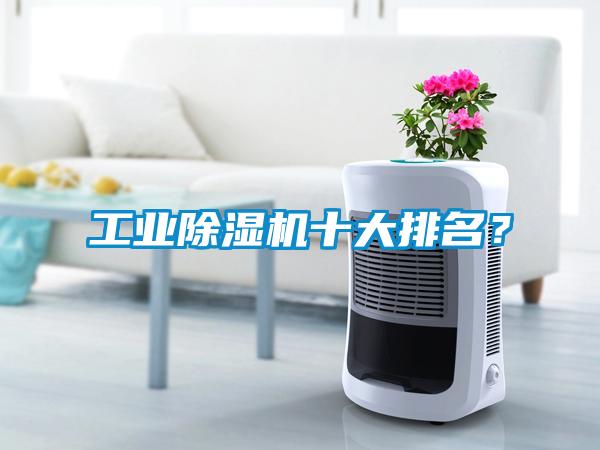 工業(yè)除濕機(jī)十大排名？