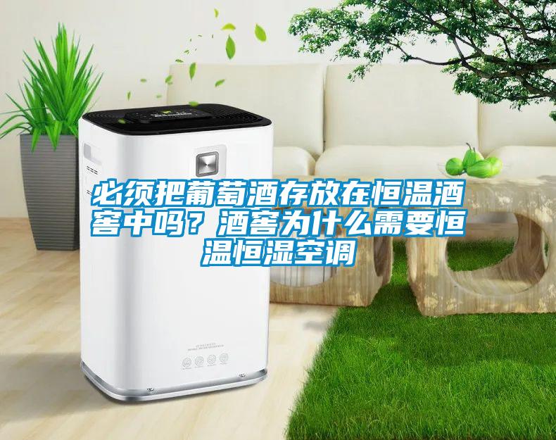必須把葡萄酒存放在恒溫酒窖中嗎？酒窖為什么需要恒溫恒濕空調