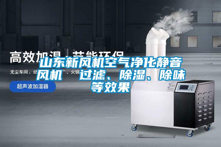 山東新風(fēng)機(jī)空氣凈化靜音風(fēng)機(jī)  過(guò)濾、除濕、除味等效果