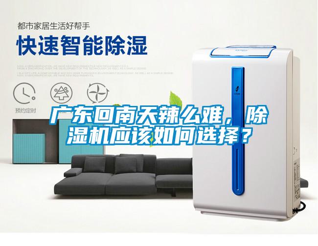 廣東回南天辣么難，除濕機應(yīng)該如何選擇？