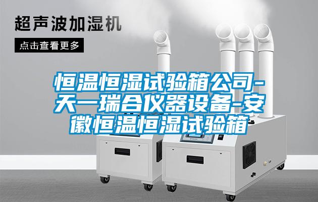 恒溫恒濕試驗箱公司-天一瑞合儀器設備-安徽恒溫恒濕試驗箱