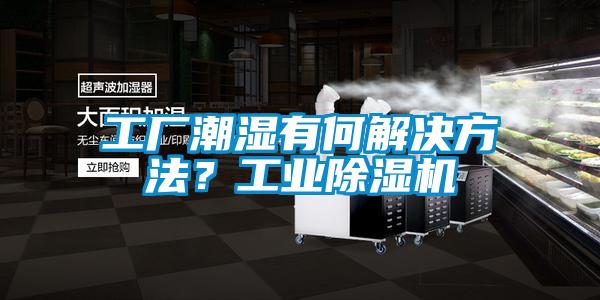 工廠潮濕有何解決方法？工業除濕機