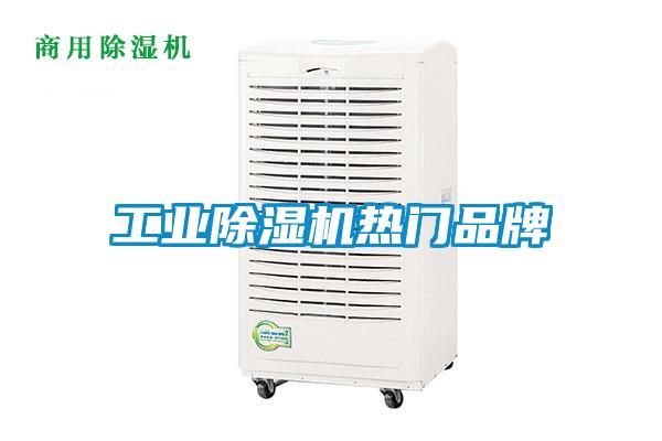 工業(yè)除濕機(jī)熱門品牌