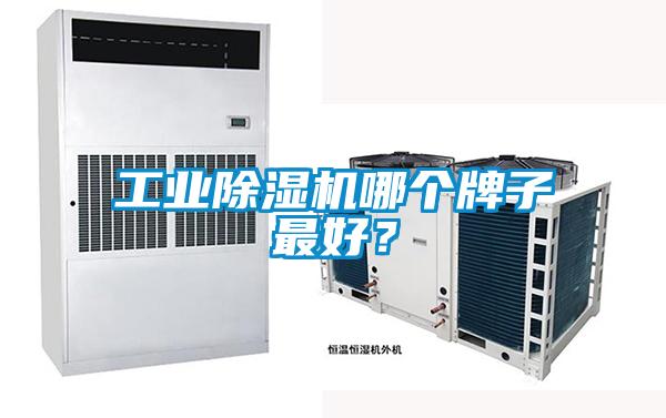工業除濕機哪個牌子最好？
