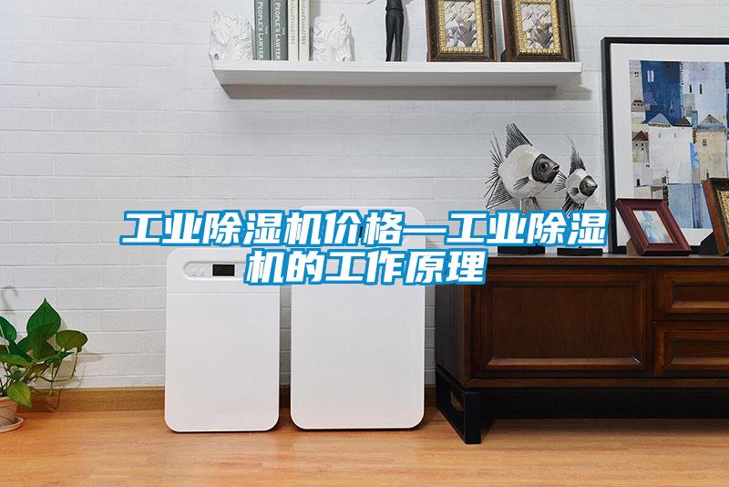 工業(yè)除濕機(jī)價格—工業(yè)除濕機(jī)的工作原理