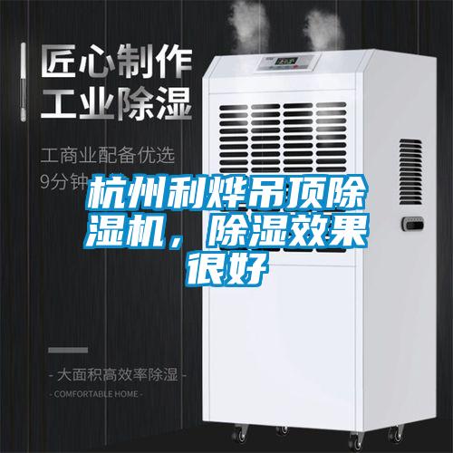 杭州利燁吊頂除濕機，除濕效果很好