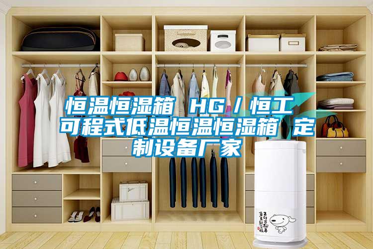 恒溫恒濕箱 HG/恒工 可程式低溫恒溫恒濕箱 定制設備廠家