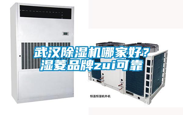武漢除濕機哪家好？濕菱品牌zui可靠
