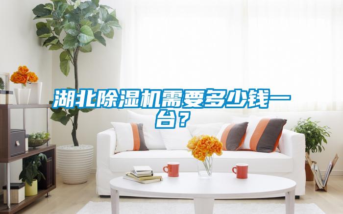 湖北除濕機(jī)需要多少錢一臺(tái)？