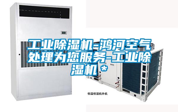工業(yè)除濕機-鴻河空氣處理為您服務-工業(yè)除濕機＊