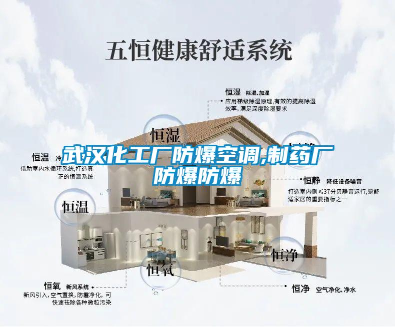 武漢化工廠(chǎng)防爆空調(diào),制藥廠(chǎng)防爆防爆