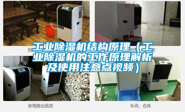 工業(yè)除濕機結(jié)構(gòu)原理（工業(yè)除濕機的工作原理解析及使用注意點視頻）
