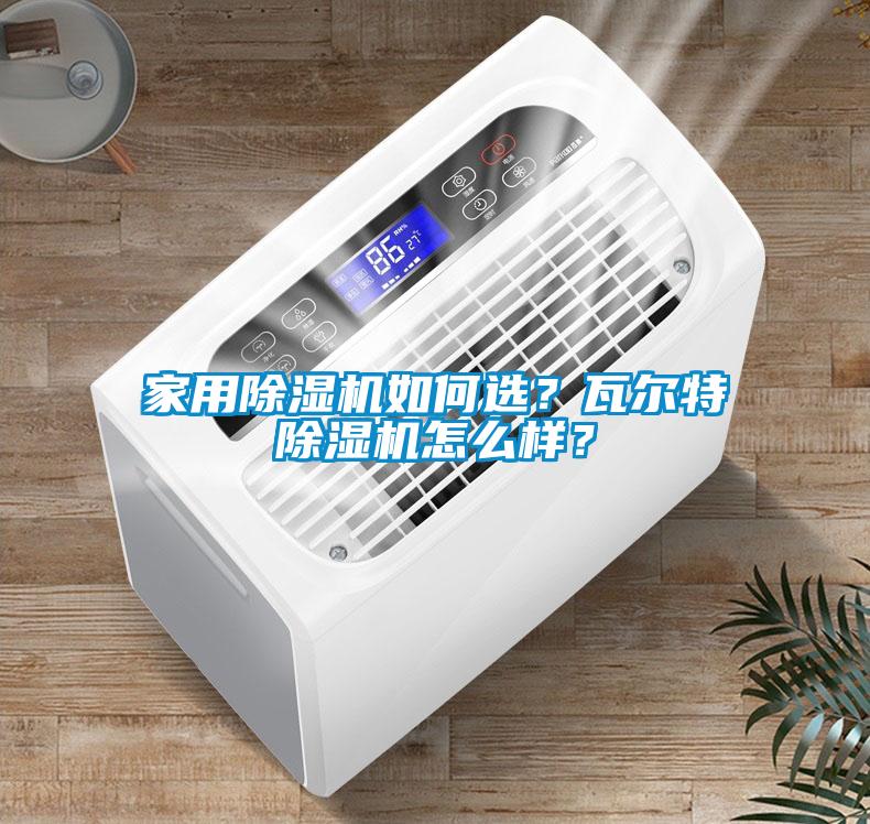 家用除濕機如何選？瓦爾特除濕機怎么樣？