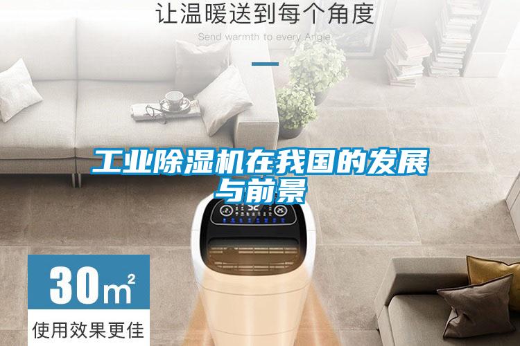 工業除濕機在我國的發展與前景