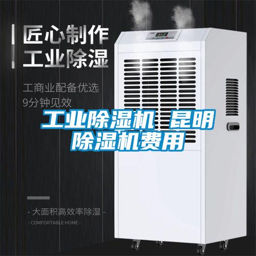 工業(yè)除濕機 昆明除濕機費用