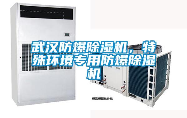 武漢防爆除濕機，特殊環境專用防爆除濕機