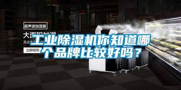 工業除濕機你知道哪個品牌比較好嗎？