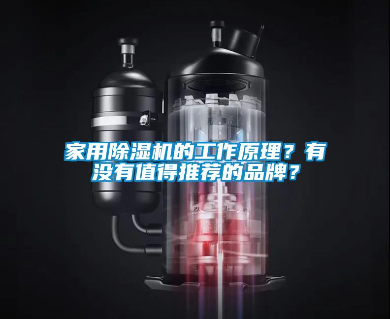家用除濕機的工作原理？有沒有值得推薦的品牌？
