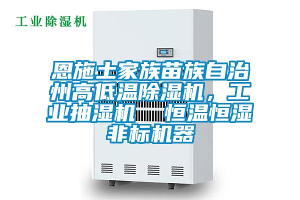 恩施土家族苗族自治州高低溫除濕機，工業(yè)抽濕機  恒溫恒濕非標機器