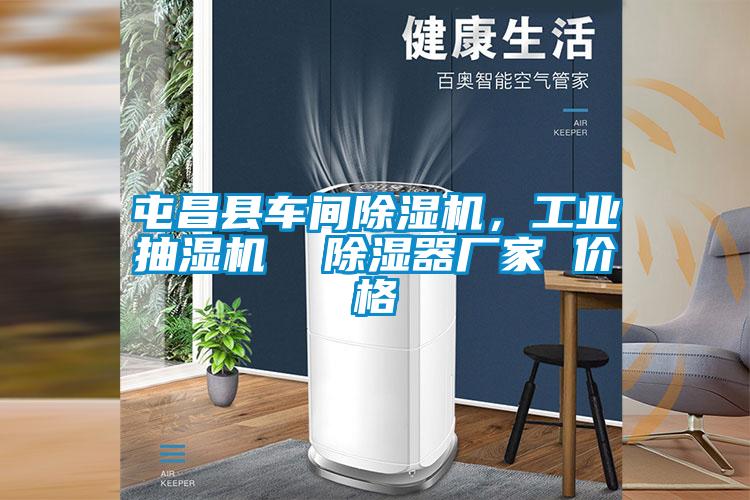 屯昌縣車間除濕機(jī)，工業(yè)抽濕機(jī)  除濕器廠家 價(jià)格