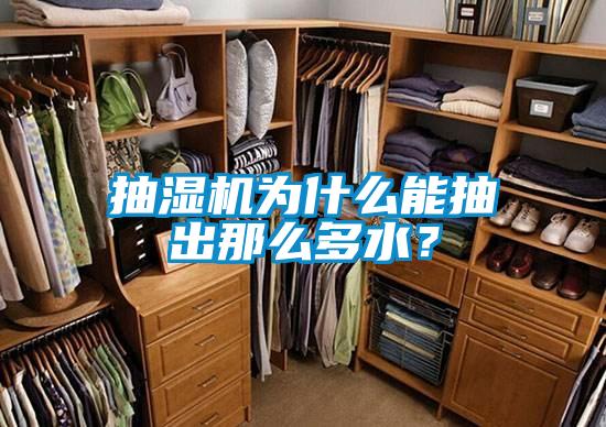 抽濕機(jī)為什么能抽出那么多水？
