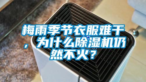 梅雨季節(jié)衣服難干，為什么除濕機(jī)仍然不火？