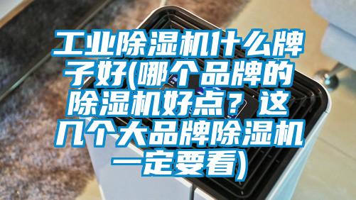 工業(yè)除濕機(jī)什么牌子好(哪個品牌的除濕機(jī)好點？這幾個大品牌除濕機(jī)一定要看)