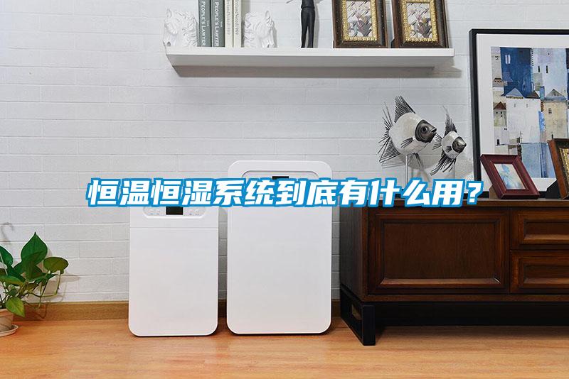 恒溫恒濕系統(tǒng)到底有什么用?