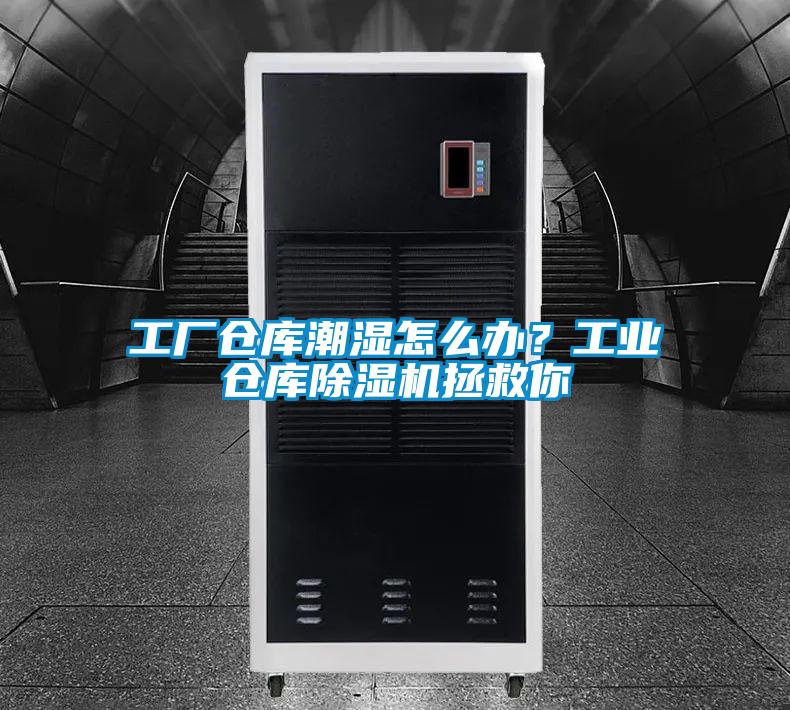工廠倉庫潮濕怎么辦？工業(yè)倉庫除濕機拯救你