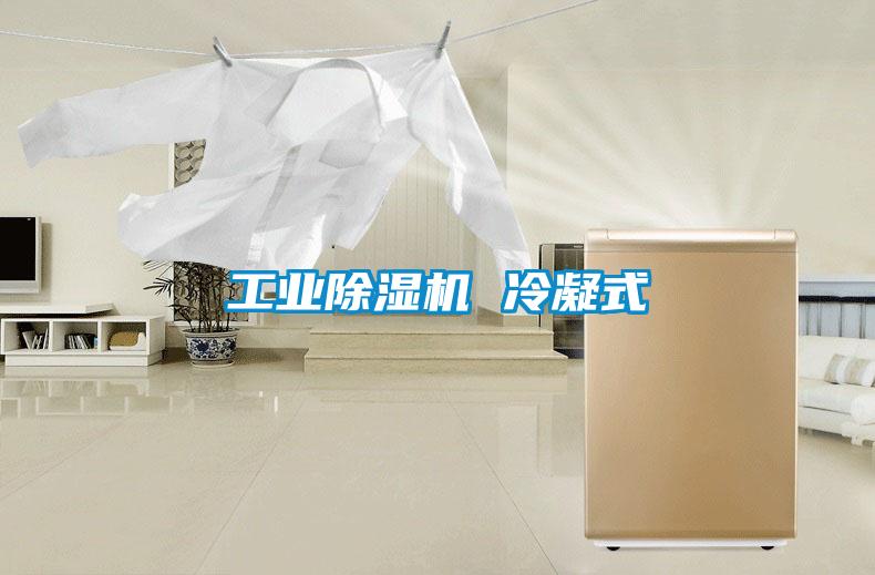 工業除濕機 冷凝式