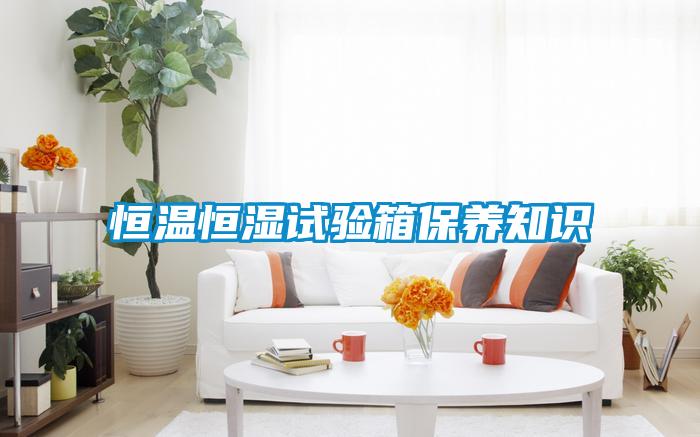 恒溫恒濕試驗箱保養知識