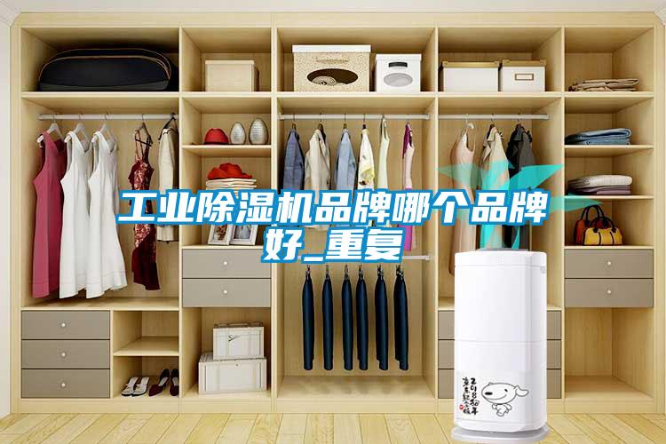 工業(yè)除濕機品牌哪個品牌好_重復
