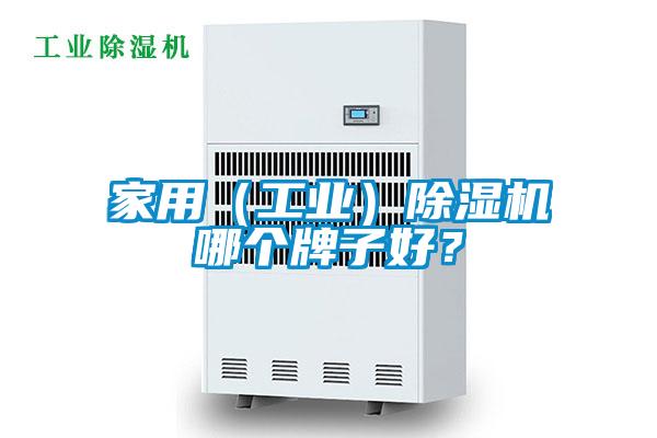 家用（工業(yè)）除濕機哪個牌子好？