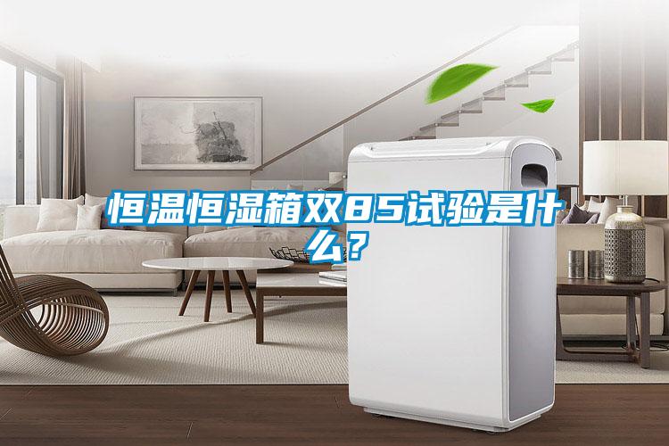 恒溫恒濕箱雙85試驗是什么？