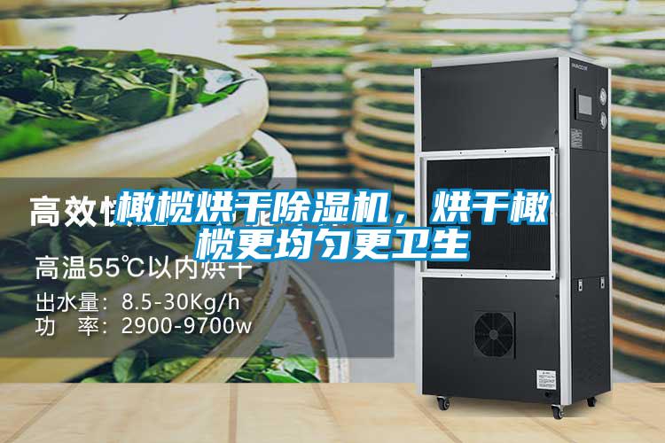 橄欖烘干除濕機，烘干橄欖更均勻更衛(wèi)生