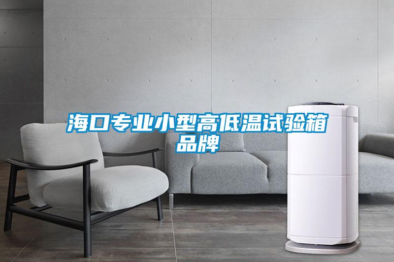 海口專業小型高低溫試驗箱品牌