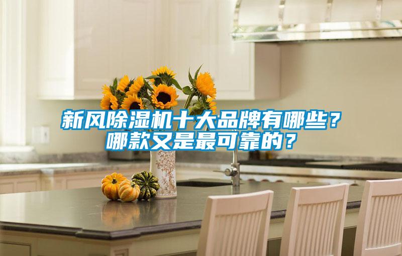 新風(fēng)除濕機(jī)十大品牌有哪些？哪款又是最可靠的？