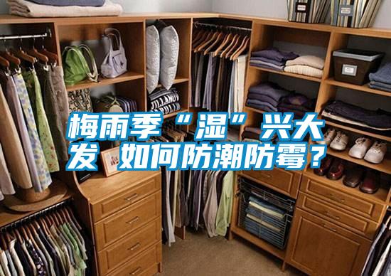 梅雨季“濕”興大發 如何防潮防霉？