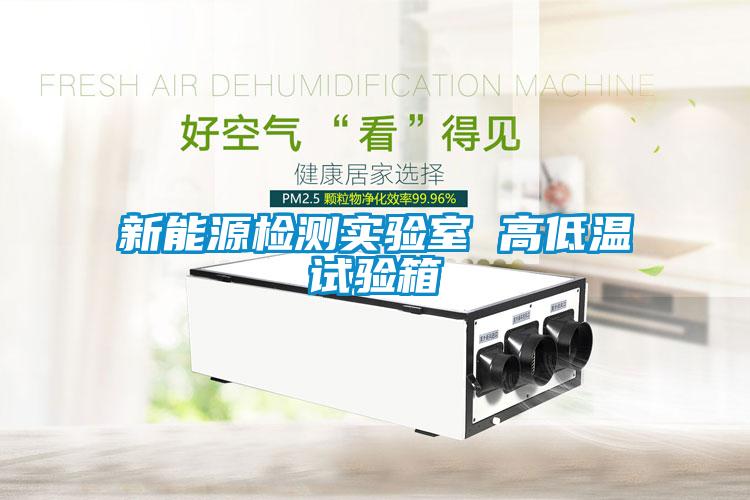 新能源檢測實(shí)驗(yàn)室 高低溫試驗(yàn)箱