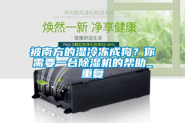 被南方的濕冷凍成狗？你需要一臺除濕機的幫助_重復