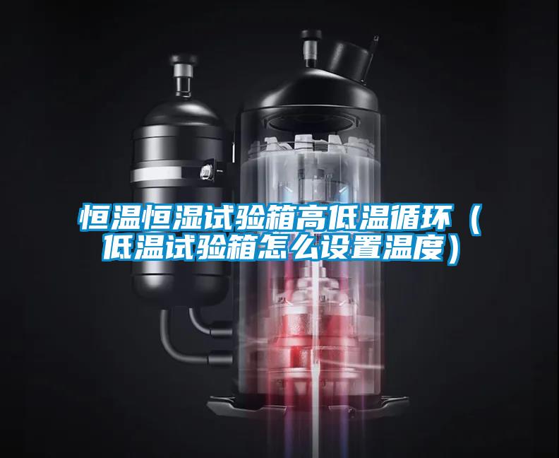 恒溫恒濕試驗箱高低溫循環(huán)（低溫試驗箱怎么設置溫度）