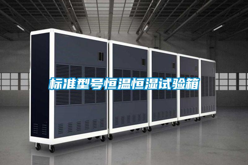標(biāo)準(zhǔn)型號恒溫恒濕試驗箱