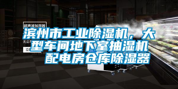 濱州市工業除濕機，大型車間地下室抽濕機  配電房倉庫除濕器