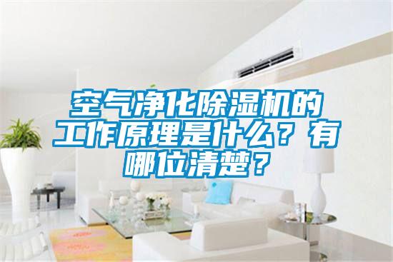 空氣凈化除濕機(jī)的工作原理是什么？有哪位清楚？